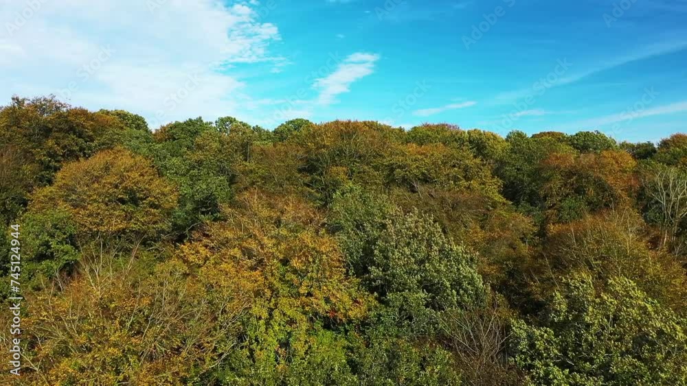 The panoramic view of French forests in autumn , Europe, France, Normandy, towards Fecamp, on a sunny day. The panoramic view of French forests in autumn , Europe, France, Normandy, towards Fecamp, on a sunny day.