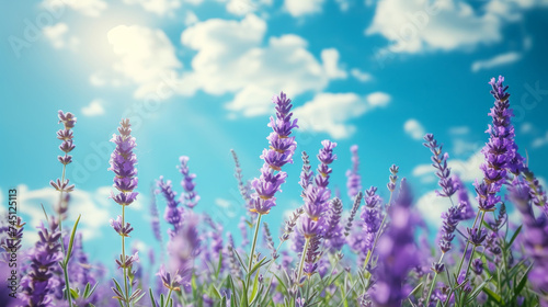 Close-up of lavender flowers against a blue sky. Aromatherapy and organic cosmetics concept. Generative AI