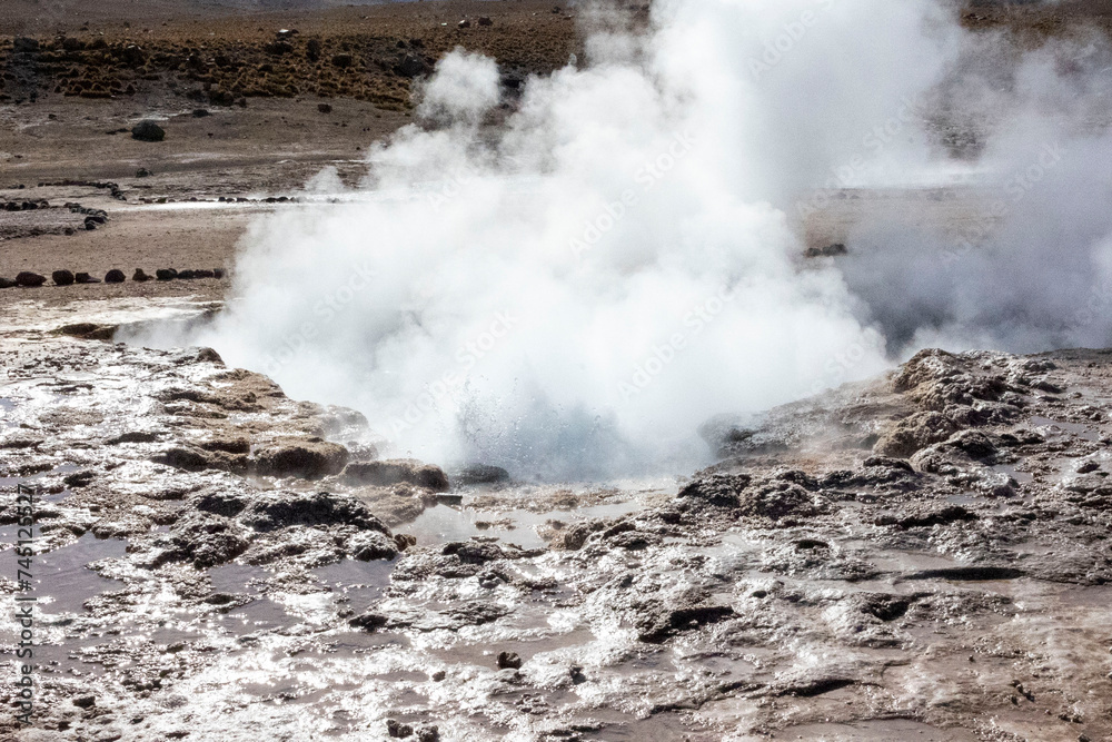 Tatio Geysers, San Pedro de Atacama, Chile, South America. Volcanic hot springs erupting hot water and steam in the mountain regions. 