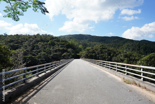 沖縄 国頭 長尾橋 ヤンバルの谷にかかる橋