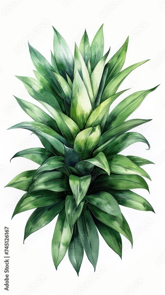 A realistic painting featuring a green plant with intricate details, set against a plain white background. A realistic painting featuring a green plant with intricate details, set against a plain white background.