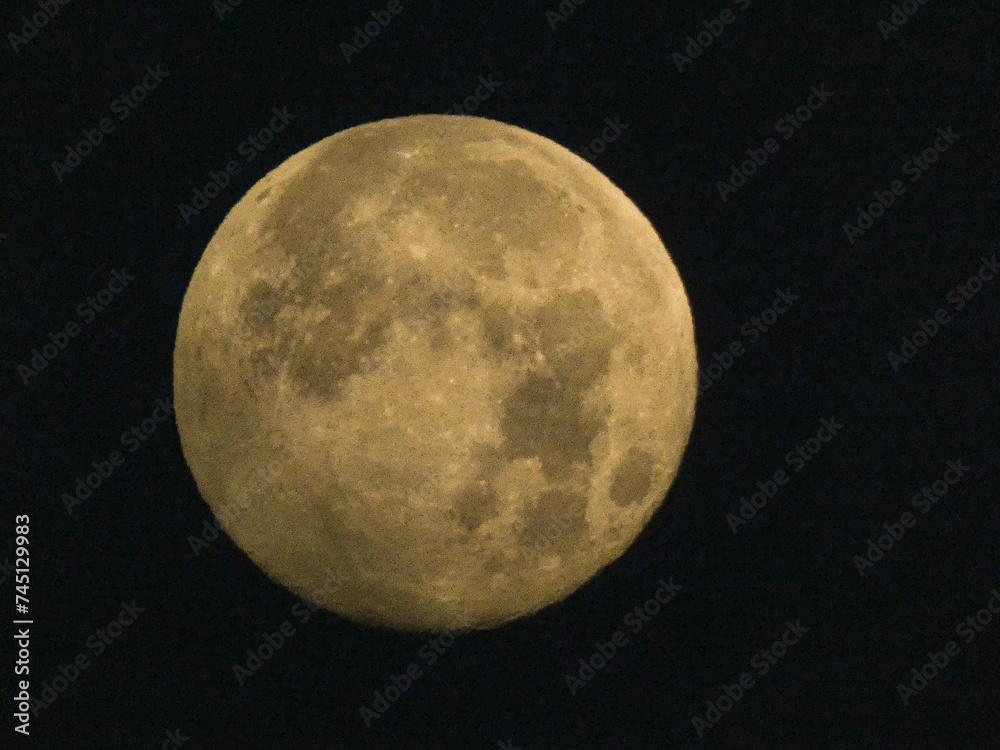 Fototapeta premium La luna piena