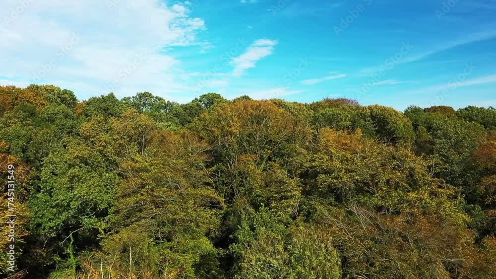 The panoramic view of French forests in autumn , Europe, France, Normandy, towards Fecamp, on a sunny day. The panoramic view of French forests in autumn , Europe, France, Normandy, towards Fecamp, on a sunny day.