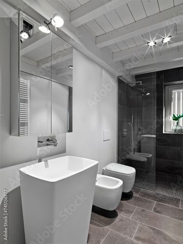 Interior view of a contemporary bathroom. In the foreground is a column washbasin, complete with its sleek faucet and mirror. Meanwhile, in the background, a stylish shower box. (ID: 745136977)