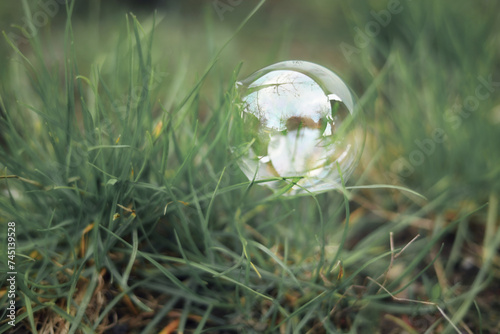 Bubble in the grass.