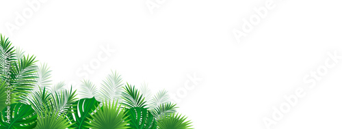 amazon tropical border frame. Green rainforest card. Vector illustration with beautiful tropic plants. Palm and monstera leaves background for summer designs, cards and jungle wallpaper
