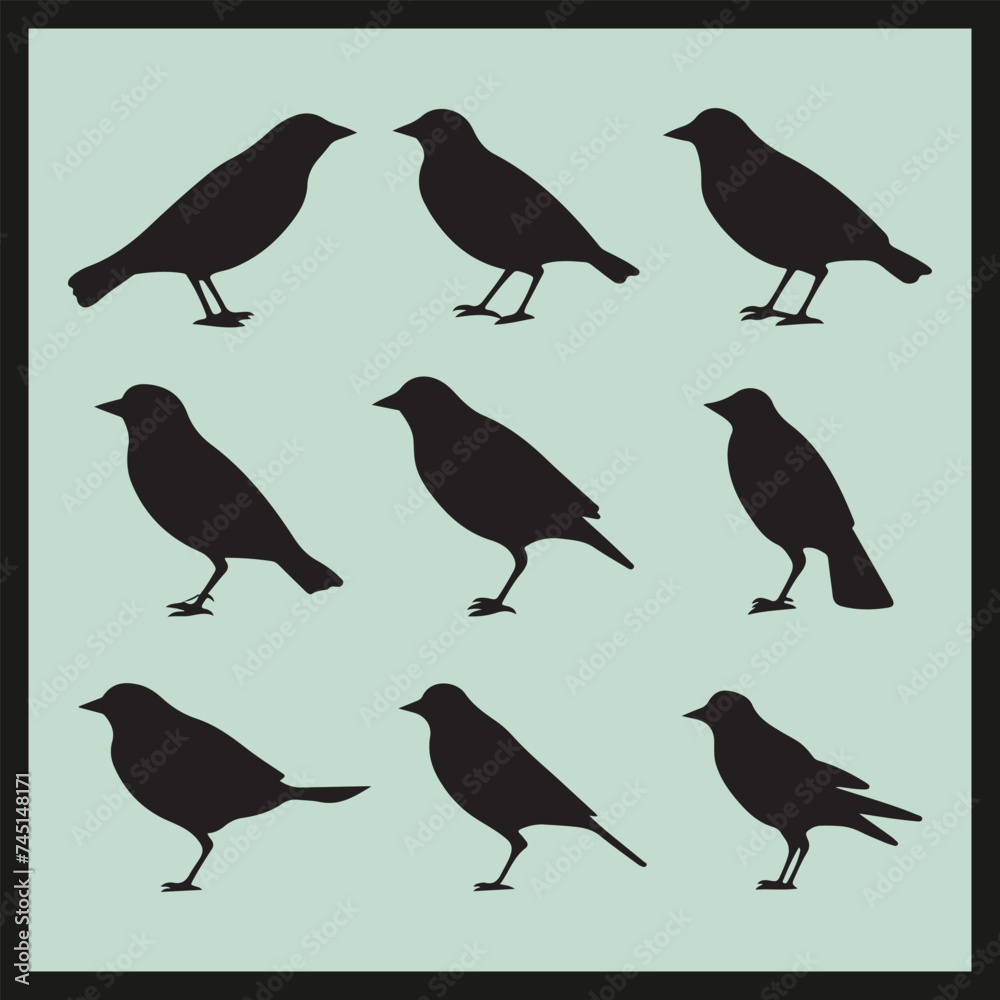 set of birds, Mynah black silhouette set set of birds, Mynah black silhouette set