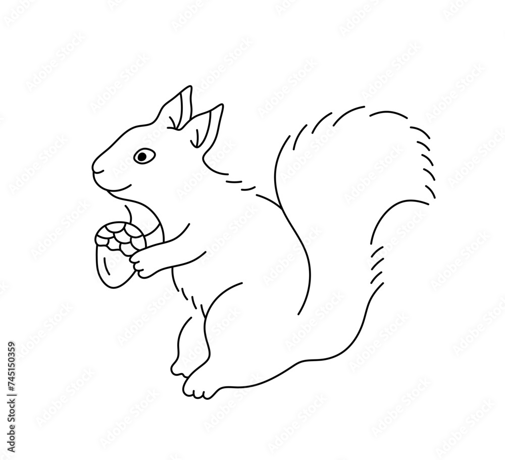 Vector isolated one single cute cartoon squirrel with acorn side view full body colorless black and white contour line easy drawing Vector isolated one single cute cartoon squirrel with acorn side view full body colorless black and white contour line easy drawing