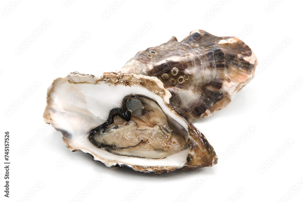 Fresh opened oyster isolated on white background. Seafood.