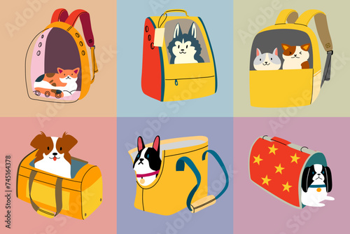 Transportation of pets. Transportation of animals. Cats and dogs are sitting in bags.