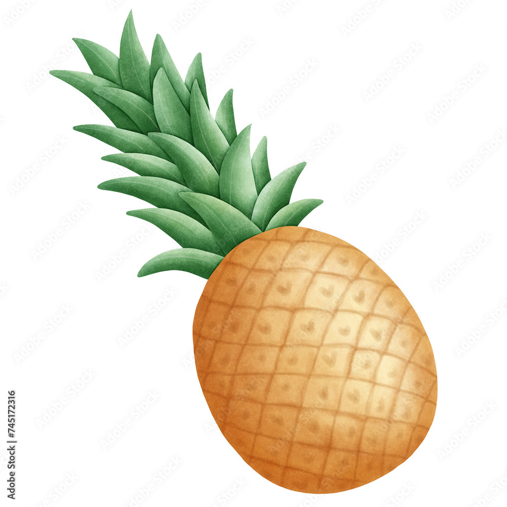 watercolor pineapple watercolor pineapple
