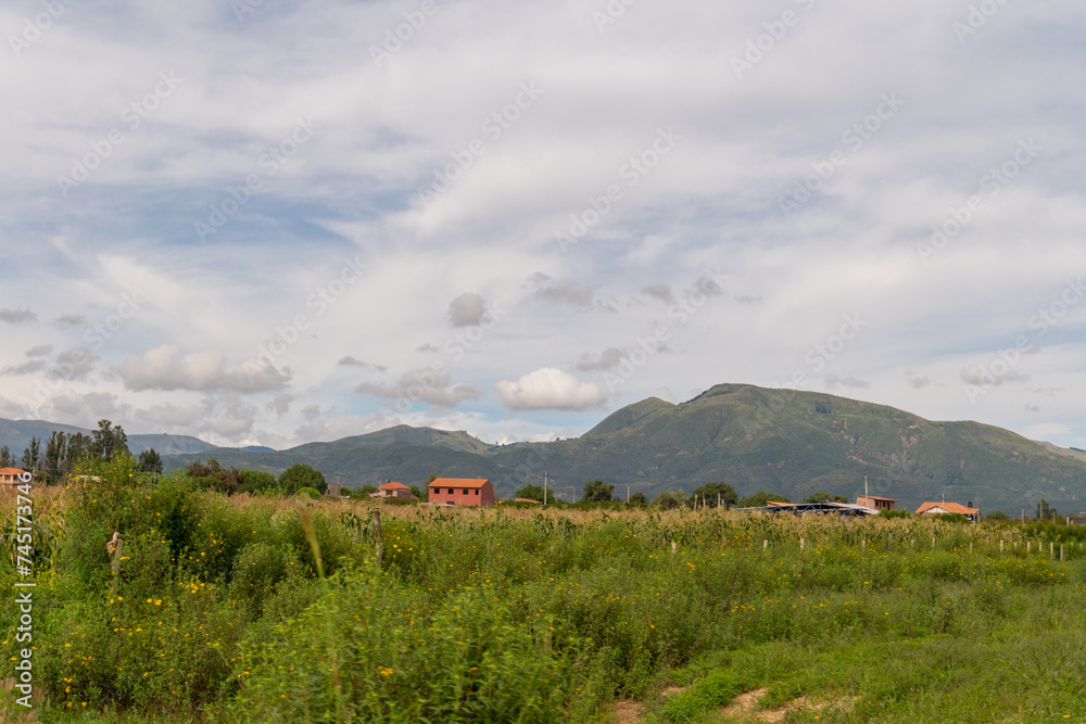 Fototapeta premium beautiful rural landscape, with green crops, pine trees and mountains in the background,cloudy day