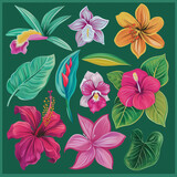 Tropical Floral Elements