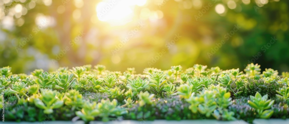 View of Eco-Friendly Rooftop Design, A rooftop covered with green plants ...
