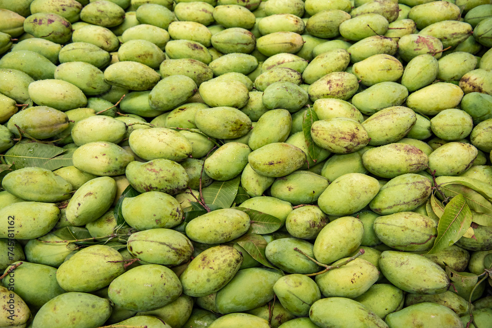 THAILAND CHACHOENGSAO MARKET GREEN MANGO THAILAND CHACHOENGSAO MARKET GREEN MANGO
