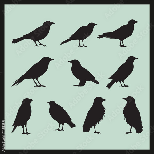 Crow black silhouette set vector, collection of birds set