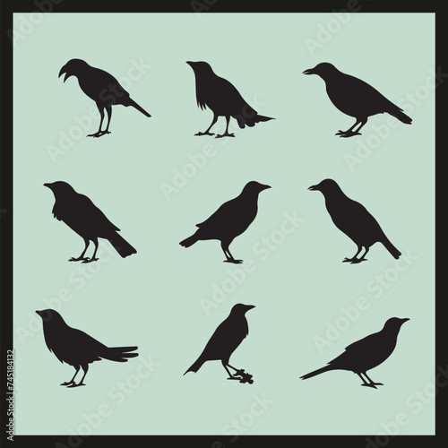 Currawong black silhouette set vector, set of birds