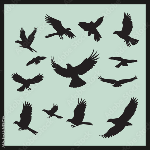 Eagle black silhouette set vector, set of birds
