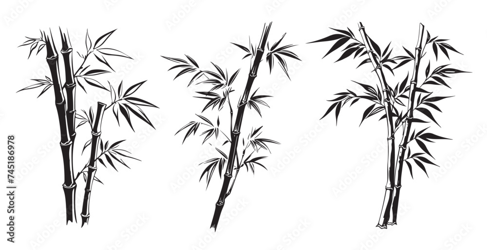 Bamboo hand drawn style, illustrations
Bamboo hand drawn style, illustrations
