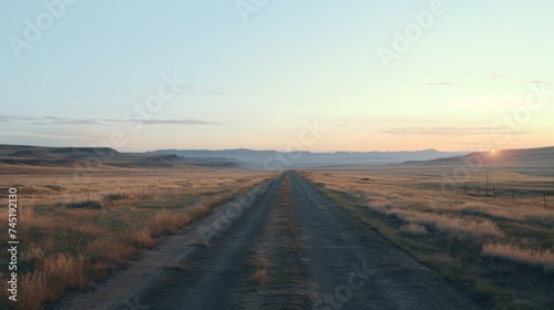 A rustic dirt road cutting through a vast field. Ideal for agricultural or rural concepts