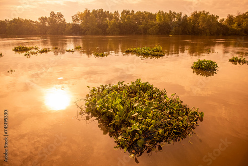 THAILAND CHACHOENGSAO BANG PAKONG RIVER photo