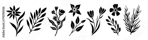 Set of black silhouettes of wild leaves and flowers. Trendy greenery hand drawn monochrome botanical illustration collection isolated. Modern design for logo, tattoo, wall art, branding and packaging.