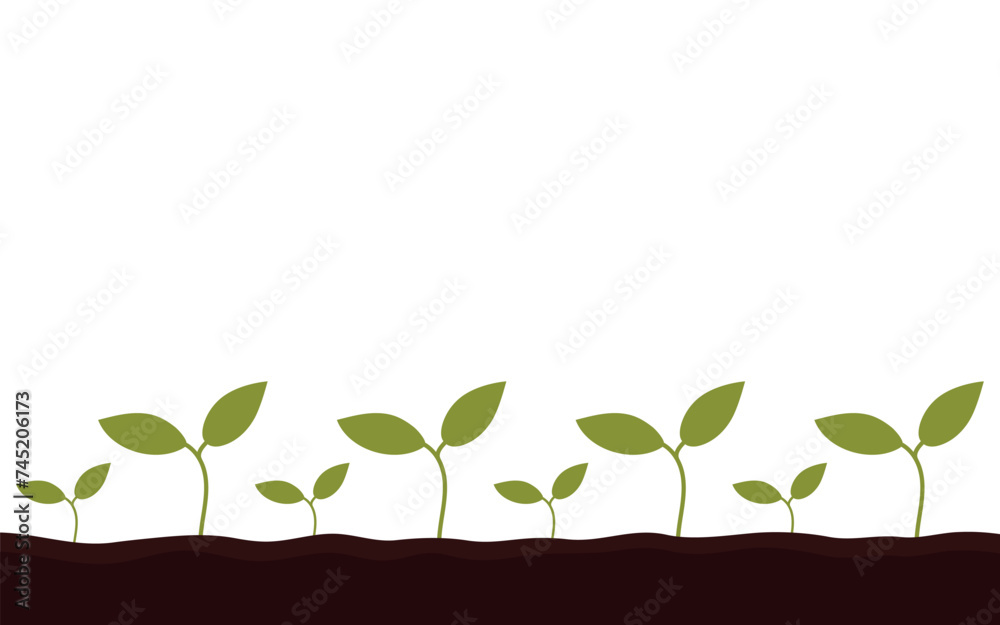 Green leaves of sprouts growing in soil. Horizontal vector illustration on white background.