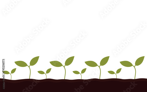 Green leaves of sprouts growing in soil. Horizontal vector illustration on white background.