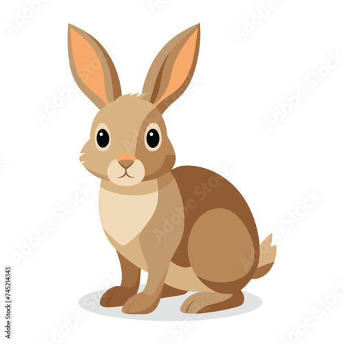  Rabbit Animal flat vector illustration