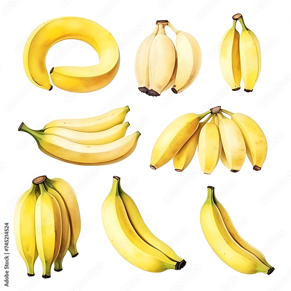 watercolor painting realistic Banana isolated on white background. Clipping path included.