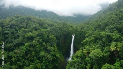 This image is of a waterfall in the middle of a green jungle.