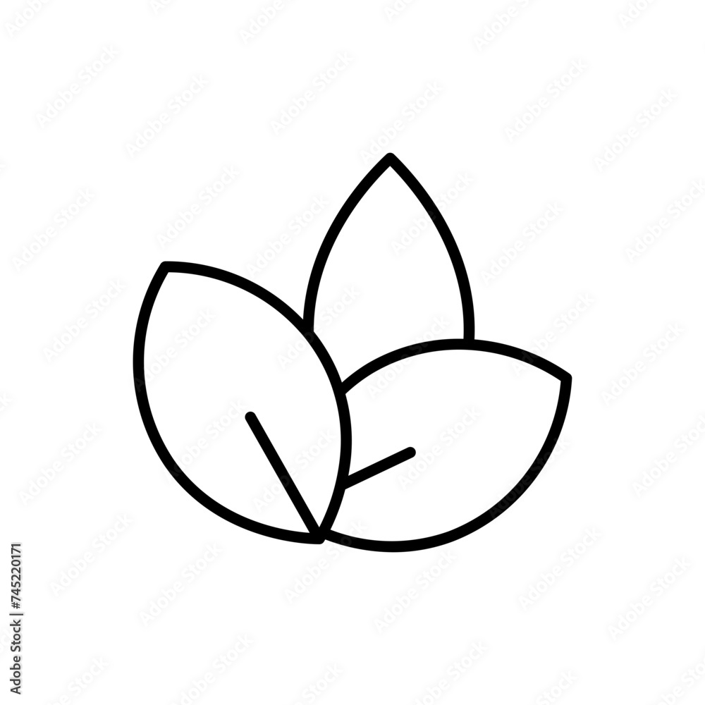 green tea line icon green tea line icon