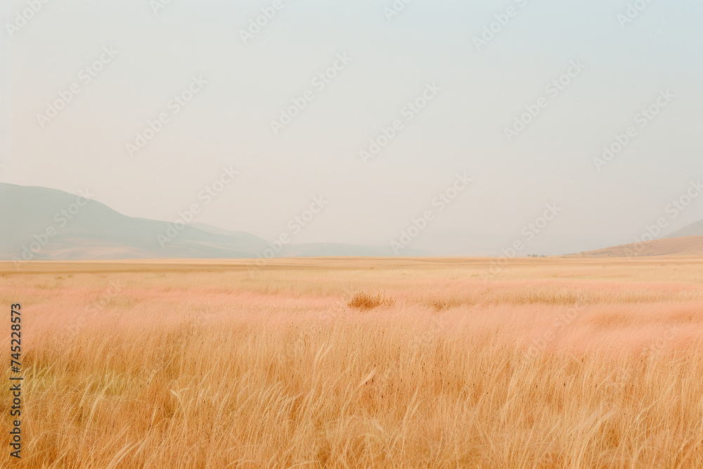 Serene landscape bathed in the soft hues of Peach Fuzz