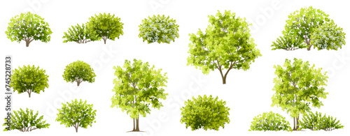 Vertor set of green tree,plants side view for landscape elevations,element for backdrop,eco environment concept design,watercolor greenery scene