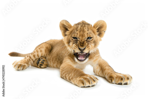 Cute lion cub with an expanded color palette