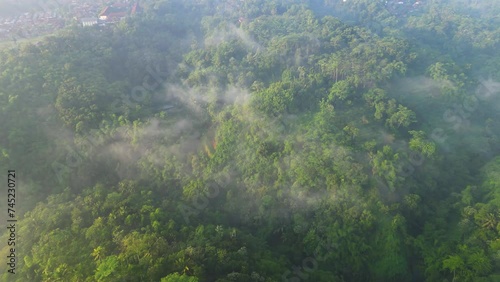 Misty morning in the woods with mountains, green trees, and hills.