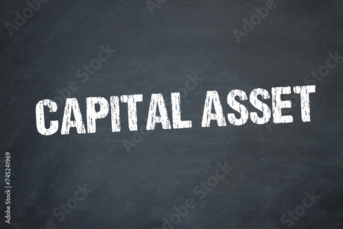 Capital Asset 