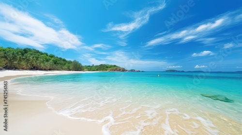 Nature s tropical beauty unfolds on the sandy beach  where the azure sea meets the blue sky in perfect harmony.