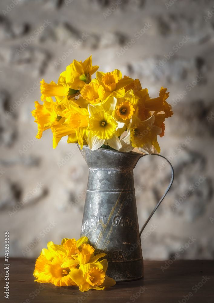 A bunch of bright yellow spring daffodils in a galvanised tin jug with Covent Garden embossed on it and more daffodils on the table with stone wall behind