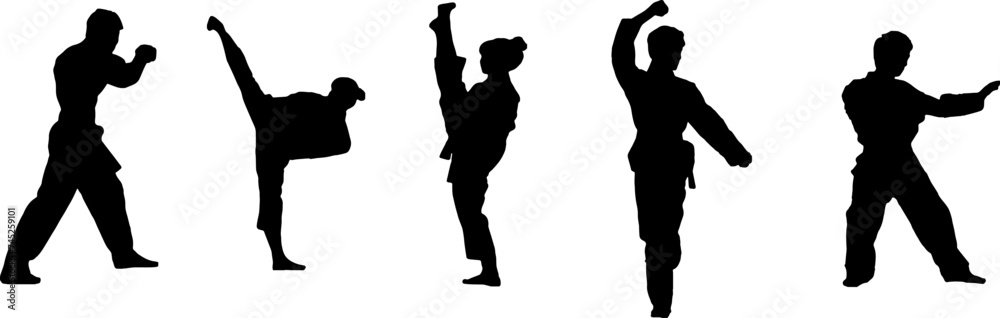 silhouette of a martial arts