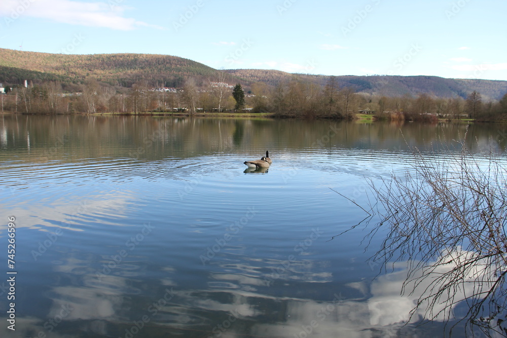 Naklejka premium idyll