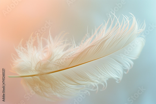 A delicate white bird feather, intricately detailed and gently resting on a soft pastel-colored background. © Rattanachat