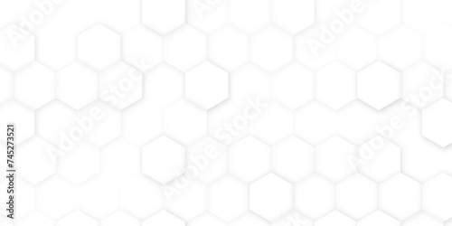 Seamless pattern of the hexagon background. White hexagon image. Vector illustration