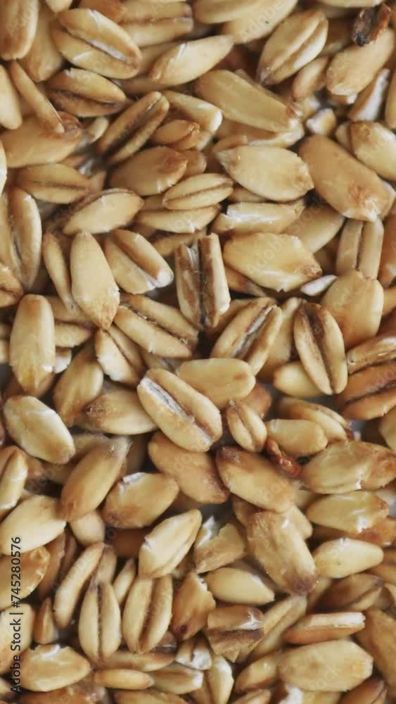 Oats texture. Food background. Oatmeal heap. Healthy diet