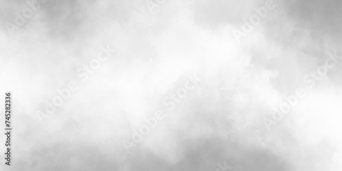 White realistic fog or mist.smoky illustration.background of smoke vape,liquid smoke rising vector illustration.misty fog,vector cloud fog and smoke.brush effect,smoke exploding smoke swirls. 