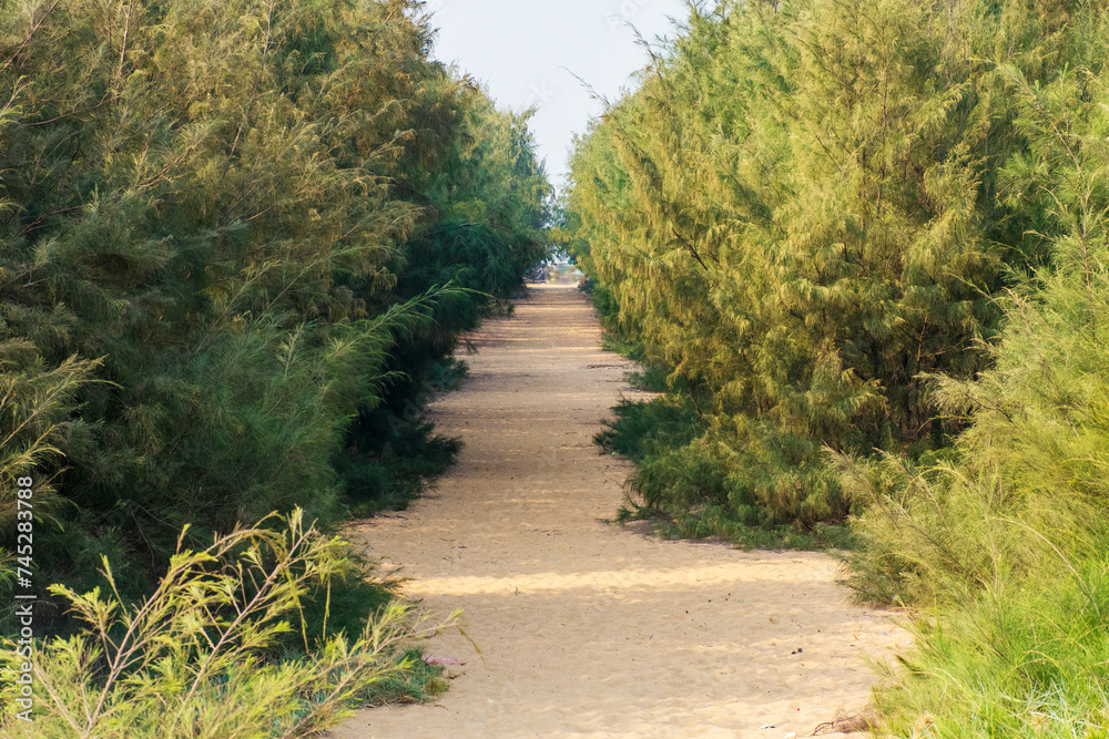 Obraz premium Landscape of Beacon Island Chilika Lake, India