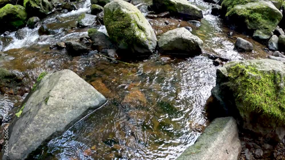 Beautiful river stream running through the Black Forest in Germany. Tall mountains, trees and spectacular views of nature surround the scene. Located in Breitnau, Baden-Württemberg Germany. Beautiful river stream running through the Black Forest in Germany. Tall mountains, trees and spectacular views of nature surround the scene. Located in Breitnau, Baden-Württemberg Germany.