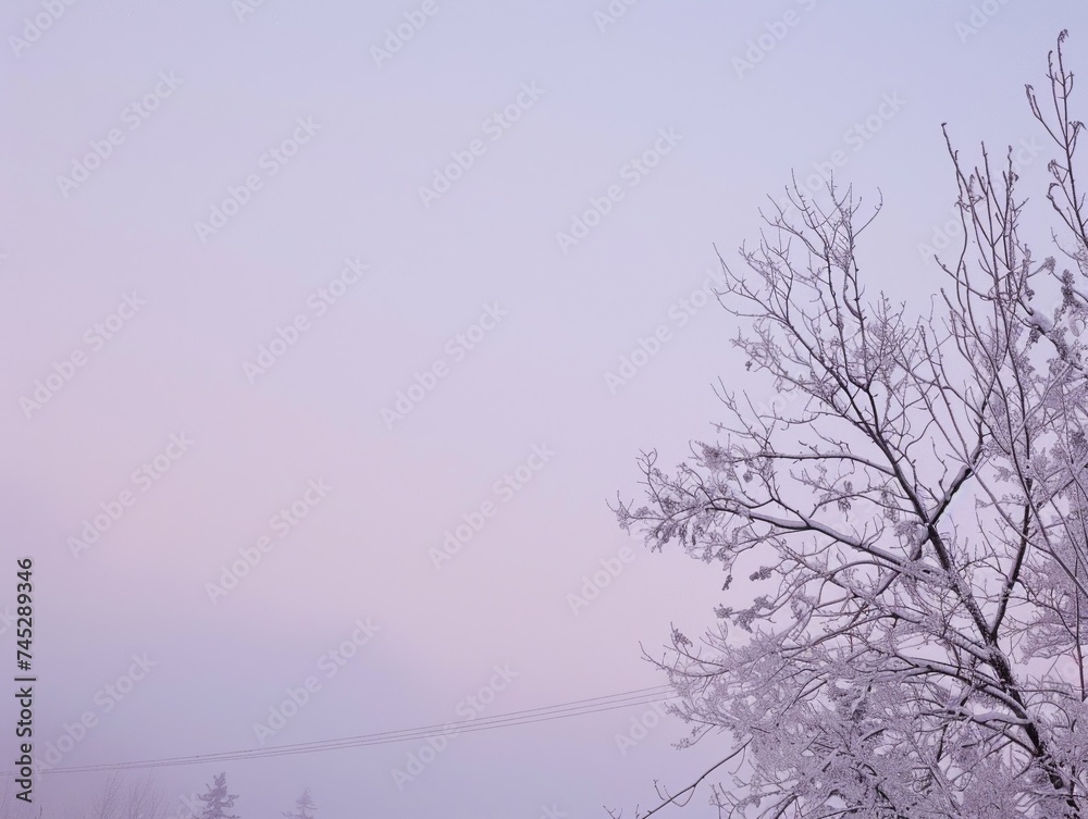 Winter morning graient pale blue to soft lilac crisp awn