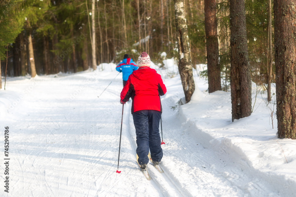 People ski in winter on a ski track through a winter forest.Cross Country skiing.