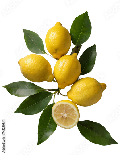 lemon with leaves